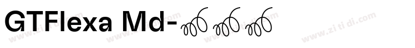 GTFlexa Md字体转换